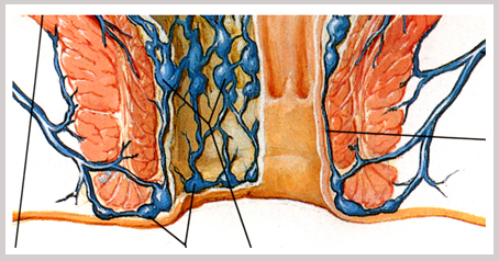 5614449183.jpg 16.jpg