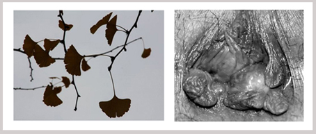 4097149223.jpg cd1491d3b53ea08609ec8fd4cb253302正本.jpg