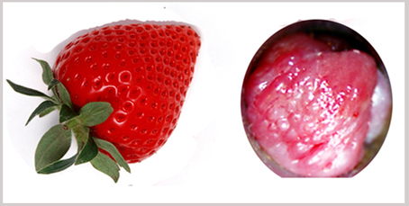 5775749211.jpg 26fd4fa5e15f6960d7df0f7cb13c73cd正本.jpg