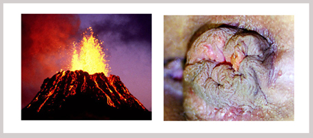 6239749220.jpg 134203dttr6rhxv86rmmqo正本.jpg