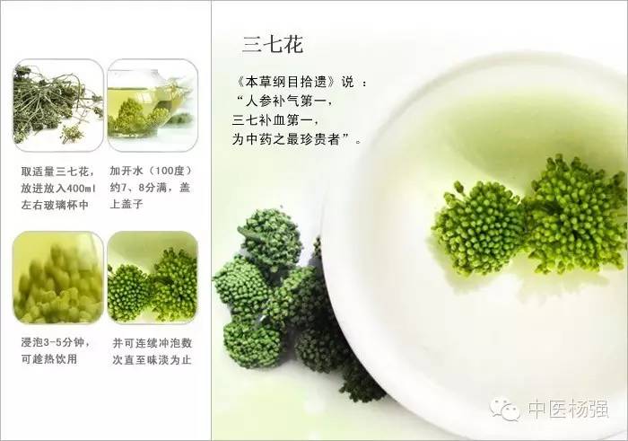 饮用方法:         治疗功效   1,三七花 青果:二者适量,用开水