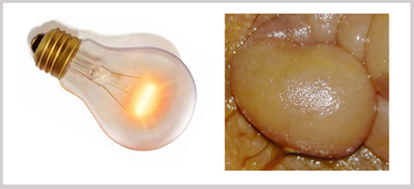 2320549221.jpg IMG_20160123_174018正本.jpg