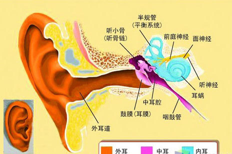 关于慢性化脓性中耳炎