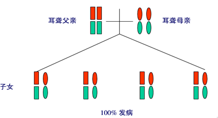 耳聋既为遗传,为何并不总是代代相传?