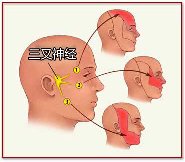 ooYBAFcKKXiAfv_MAACmYEtlopM613.jpg