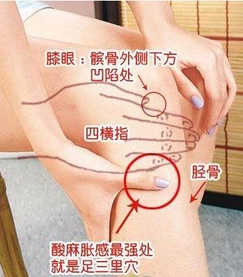 脚上的地筋在哪儿 oYYBAFjSP3OAEUwNAABhPsYdQLg15.jpeg