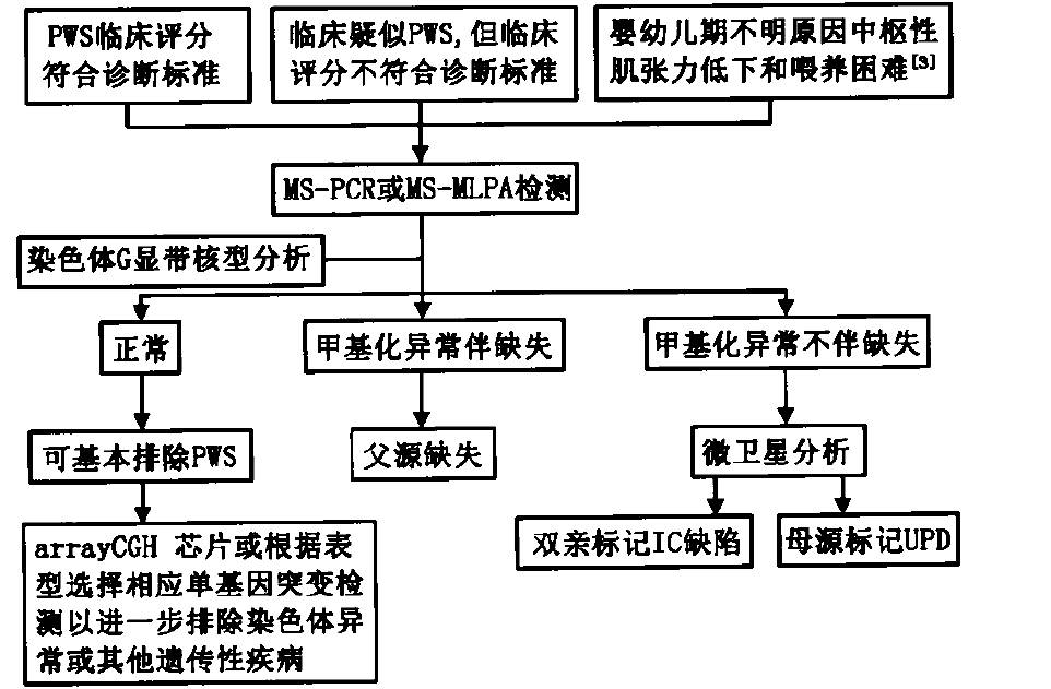 一起深入了解prader-willi综合征