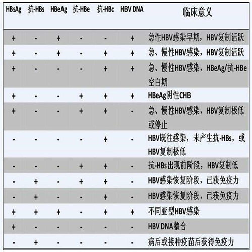 乙肝兩對(duì)半對(duì)照表正常值圖片