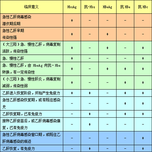 乙肝兩對(duì)半對(duì)照表圖片