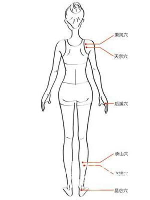 女人后面小腿穴位有哪些位置图片