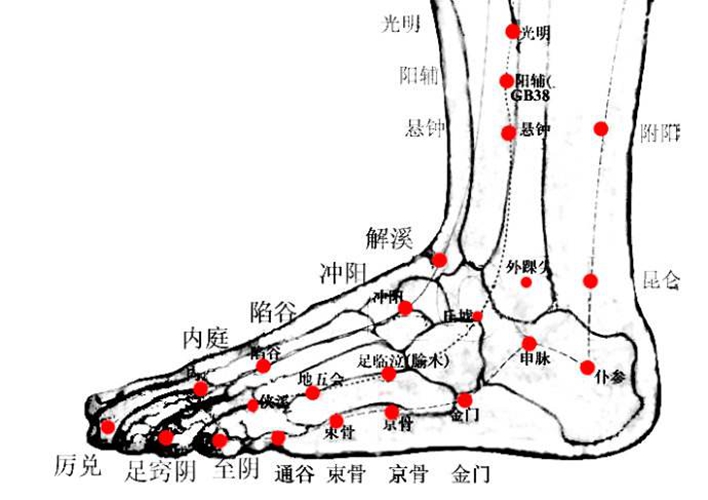 下小腿穴位是什么位置大圖片