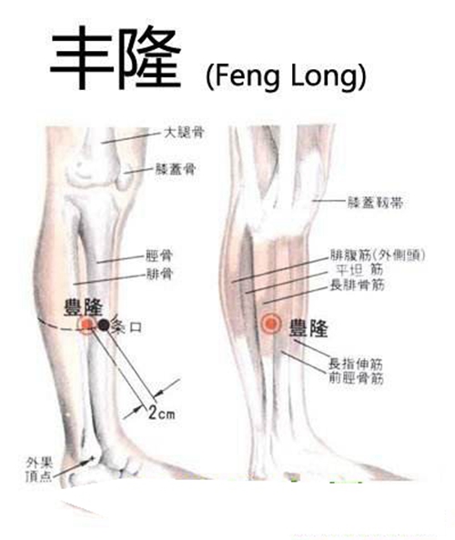 小腿穴位丰隆穴具体位置图片