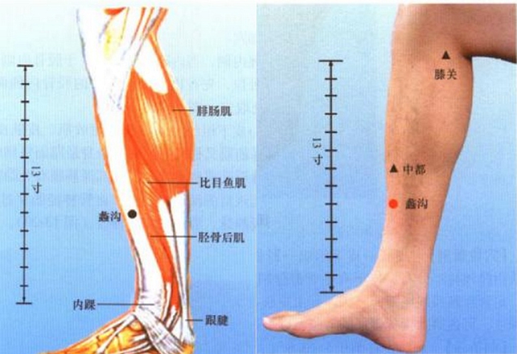 小腿穴位蠡沟是在哪个位置图片