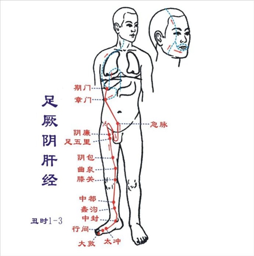 太沖穴的穴位圖片