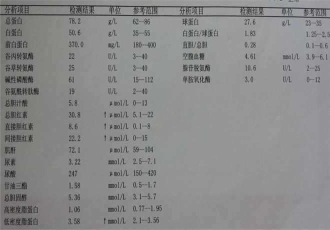 肝功能化驗單樣本