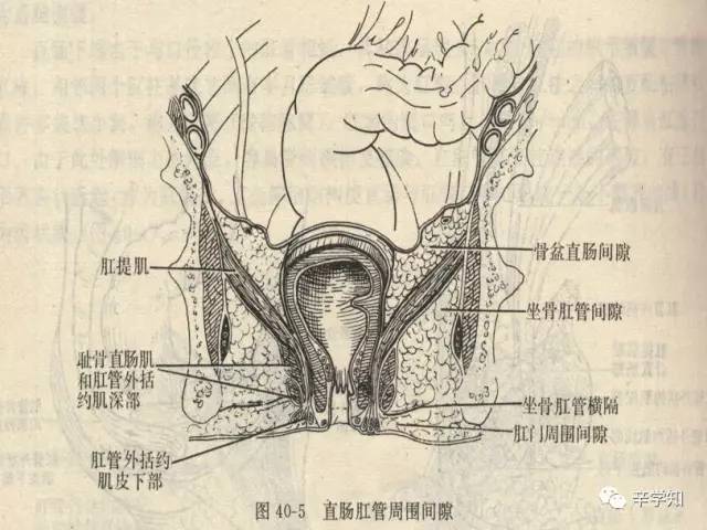 怎样预防小儿肛瘘?