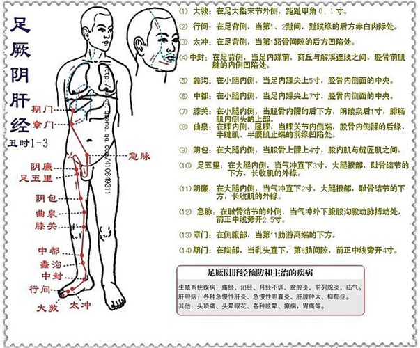 小腿穴位是哪里位置图片