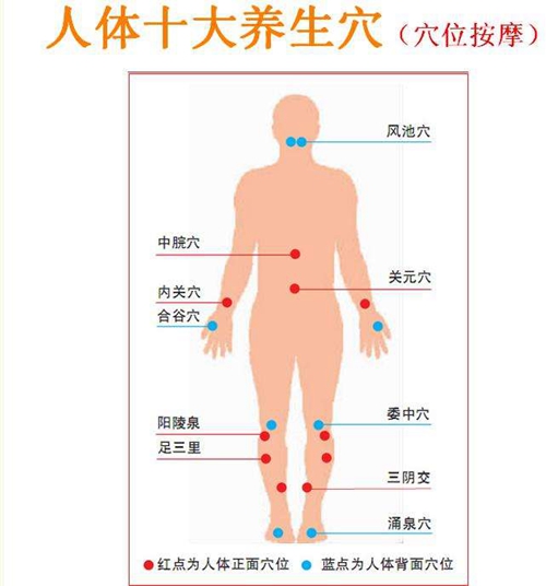 小腿穴位是在哪些位置圖片