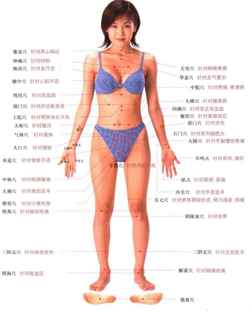 女性小腿穴位正面詳細圖片