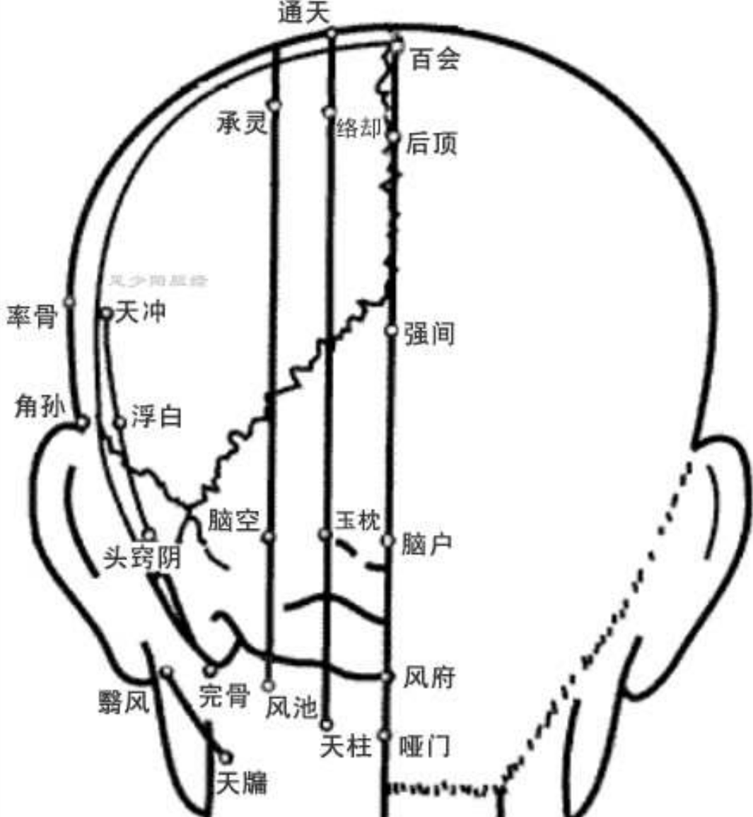 头部穴位的图片