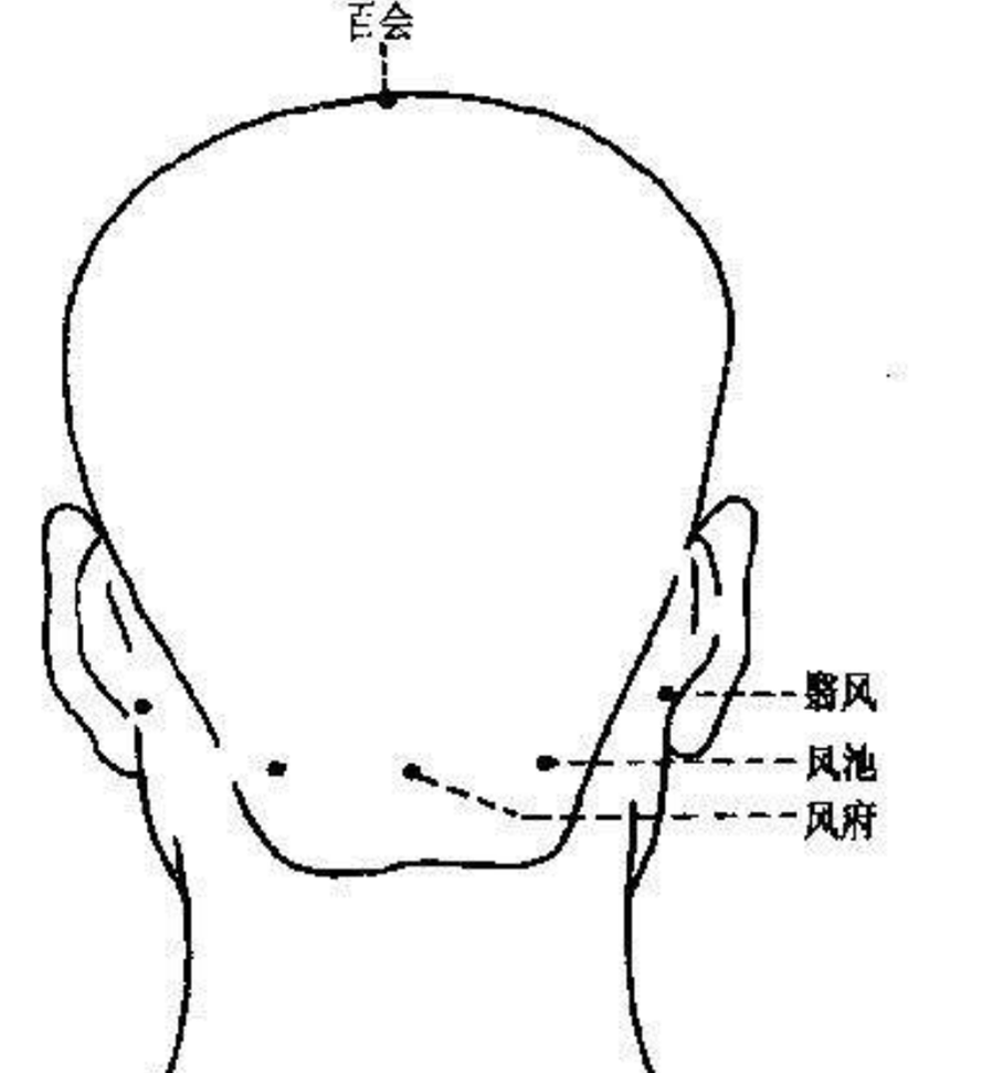 翳风穴头部穴位图片