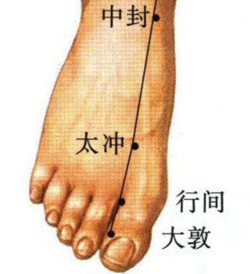 太冲穴位置图片