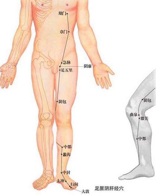 人體穴位太沖穴位的圖片