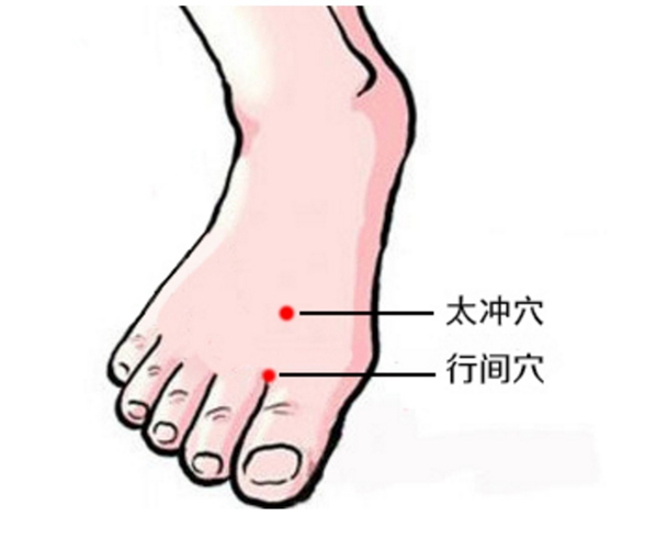 太冲穴位在什么位置图片