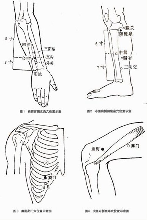 小腿穴位是人體哪些位置圖片