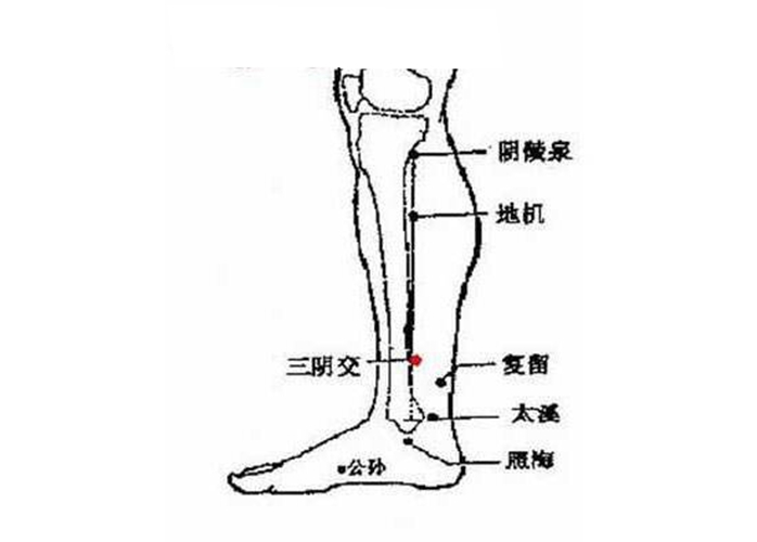 小腿穴位的准确位置图片