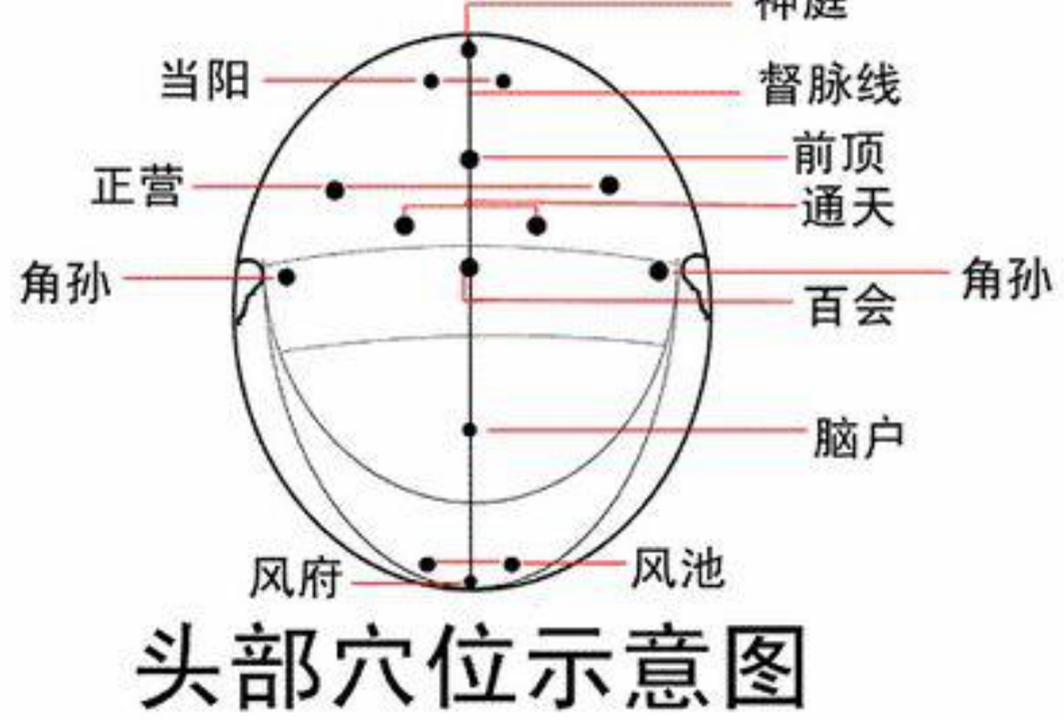 頭部穴位的多個穴圖片