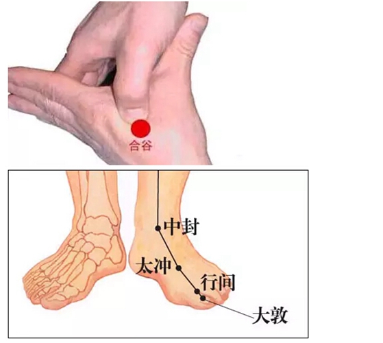 太沖穴和不同穴位對應(yīng)而效用圖片