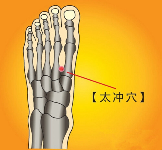 太沖穴位的準確位置圖圖片