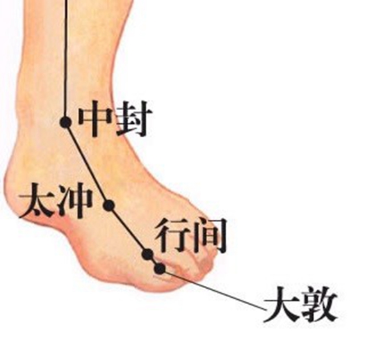 太沖穴位于足背側(cè)第一個圖片