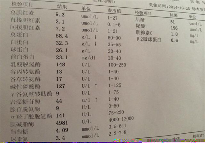 肝功能化驗(yàn)單消化不良