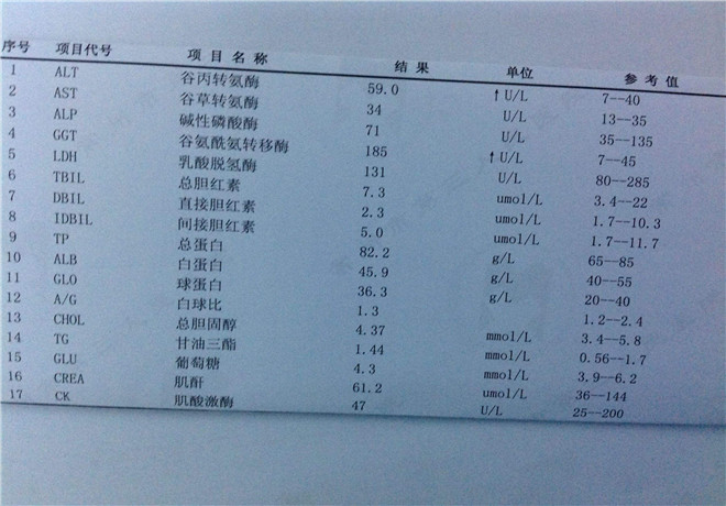 肝功能化驗單咋看呀