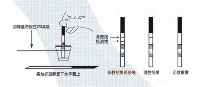 精斑檢測試紙