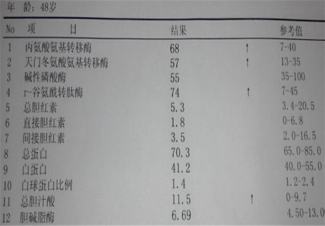 肝功能化驗單模板下載