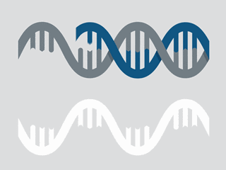 dna,大家熟悉么?