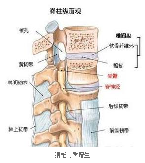 腰椎神经根压迫治疗