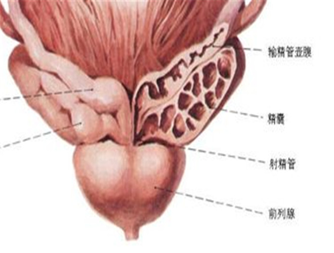 陰囊潮濕的癥狀