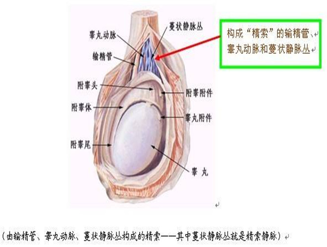 阴囊湿疹