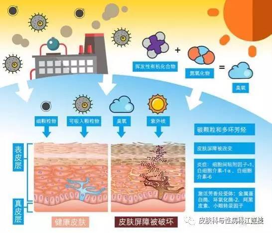 你知不知道雾霾对你的皮肤伤害有多大