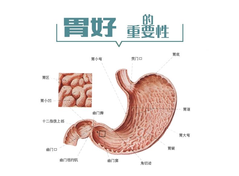 怎样治疗慢性胃炎