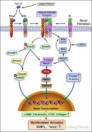 整形界的阿司匹林--肉毒素治疗乳房假体包膜挛缩