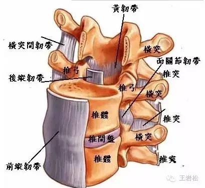 腰椎间盘突出症疼得厉害,还不想做大手术?