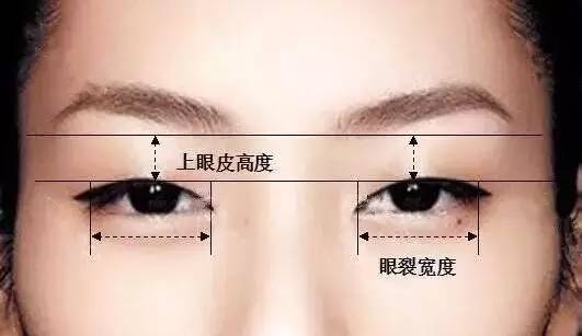 1,眼裂宽度:内眦到外眦的距离(眼睛的长度)