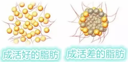 jpg 640.webp (2).jpg