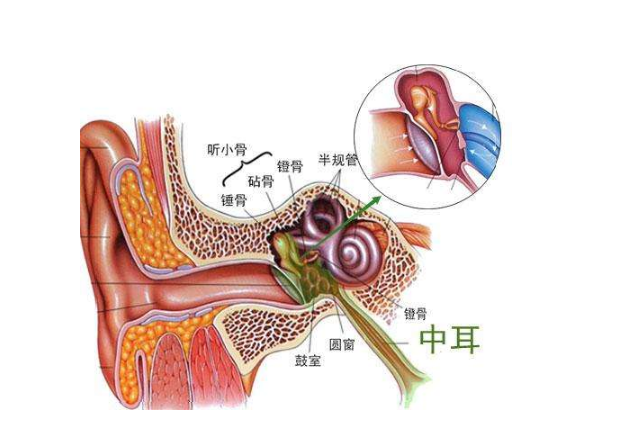 咽鼓管阻塞 (8)