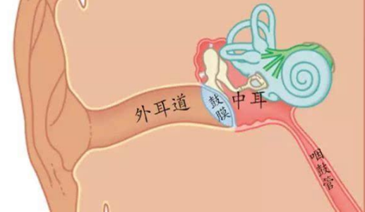 咽鼓管阻塞 (60)